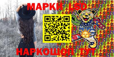 spice Моздок