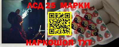 spice Моздок