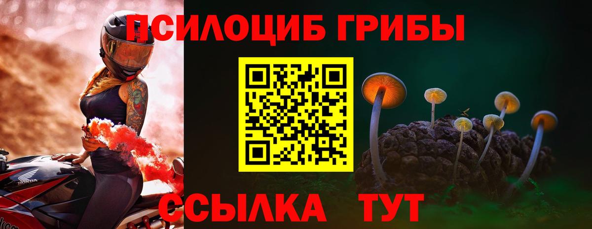 Ревда  Псилоцибиновые грибы мухоморы  Вход с VPN 